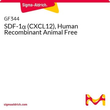 SDF-1&#945; (CXCL12), Human Recombinant Animal Free