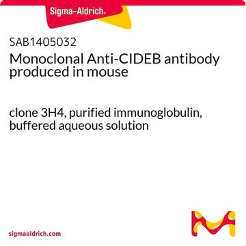 Monoclonal Anti-CIDEB antibody produced in mouse clone 3H4, purified immunoglobulin, buffered aqueous solution