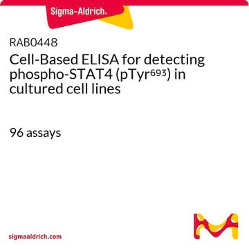 Cell-Based ELISA for detecting phospho-STAT4 (pTyr693) in cultured cell lines 96&#160;assays