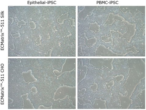 ECMatrix-511 Silk E8 Laminin Substrate Xeno-free laminin-511 coating for feeder-free pluripotent stem cell cultures, 100 mL (Silkworm derived, Ready-to-use)