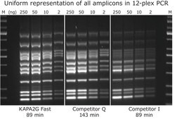 KAPA2G Fast Multiplex Mix suitable for PCR, 2&#160;×