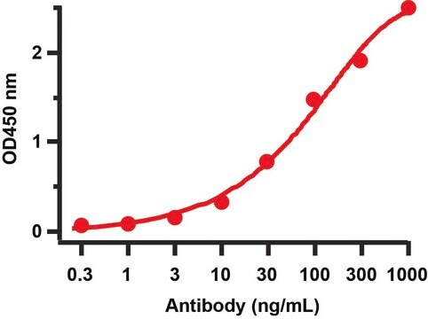 Anti-SARS-CoV-2 (COVID-19) NSP14 (ExoN) antibody produced in rabbit affinity isolated antibody