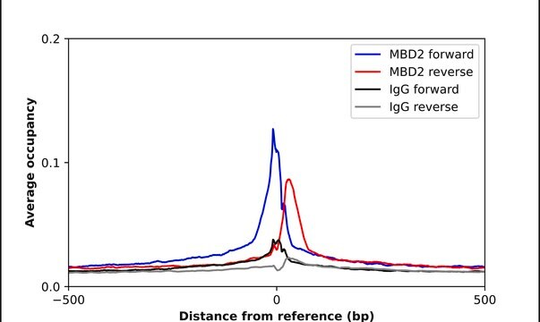Anti-MBD2 antibody produced in rabbit Prestige Antibodies&#174; Powered by Atlas Antibodies, affinity isolated antibody