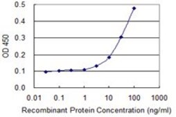 Monoclonal Anti-NID1 antibody produced in mouse clone 1G3, purified immunoglobulin, buffered aqueous solution