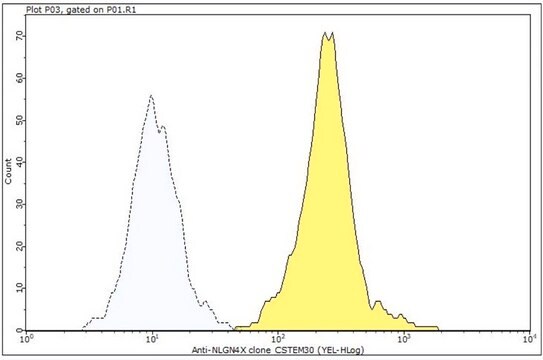 Anti-NLGN4X Antibody, clone CSTEM30