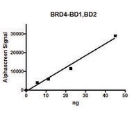 BRD4, BD1, BD2 (49-460) His tag human recombinant, expressed in E. coli, &#8805;75% (SDS-PAGE)