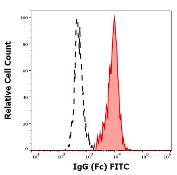 Monoclonal Anti-IgG (Fc) FITC produced in mouse