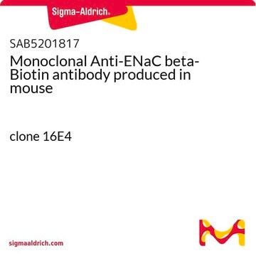 Monoclonal Anti-ENaC beta-Biotin antibody produced in mouse clone 16E4