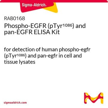 Phospho-EGFR (pTyr1086) and pan-EGFR ELISA Kit for detection of human phospho-egfr (pTyr1086) and pan-egfr in cell and tissue lysates