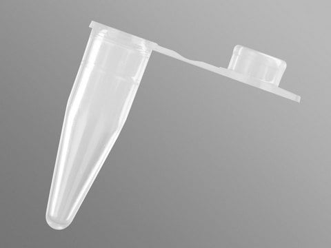 PCR tubes with domed caps thin wall, size 0.2&#160;mL, clear, pkg of 10x1000tubes/cs