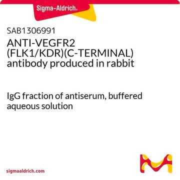 ANTI-VEGFR2 (FLK1/KDR)(C-TERMINAL) antibody produced in rabbit IgG fraction of antiserum, buffered aqueous solution