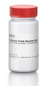 Catalase from bovine liver &#8805;20000&#160;units/mg protein, lyophilized powder