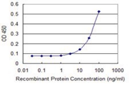 Monoclonal Anti-TBX21 antibody produced in mouse clone 4C11, purified immunoglobulin, buffered aqueous solution