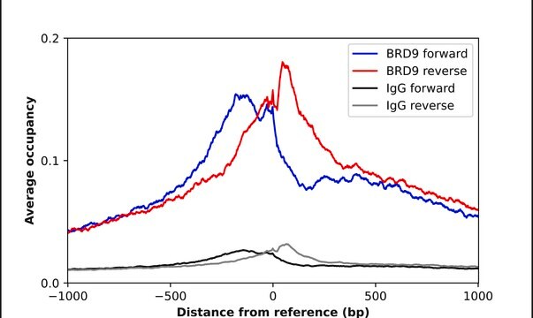 Anti-BRD9 antibody produced in rabbit Prestige Antibodies&#174; Powered by Atlas Antibodies, affinity isolated antibody