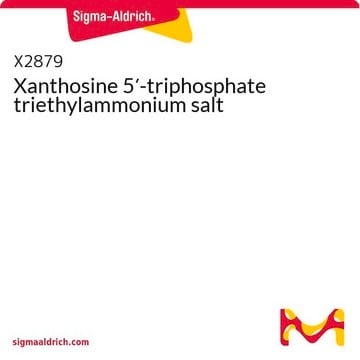 Xanthosine 5&#8242;-triphosphate triethylammonium salt