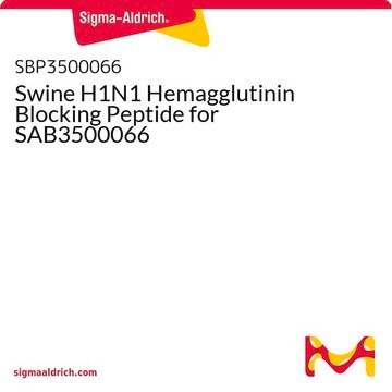 Swine H1N1 Hemagglutinin Blocking Peptide for SAB3500066