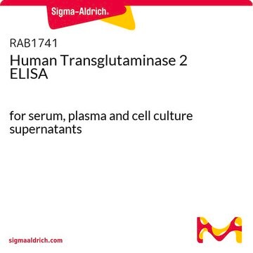 Human Transglutaminase&nbsp;2 ELISA for serum, plasma and cell culture supernatants