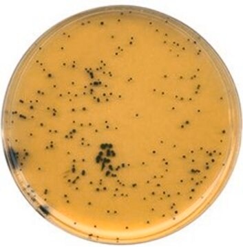 TSC Agar suitable for microbiology, NutriSelect&#174; Basic