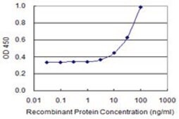 Monoclonal Anti-SLAMF7 antibody produced in mouse clone 1B9, purified immunoglobulin, buffered aqueous solution
