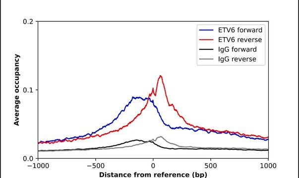 Anti-ETV6 antibody produced in rabbit Prestige Antibodies&#174; Powered by Atlas Antibodies, affinity isolated antibody, buffered aqueous glycerol solution