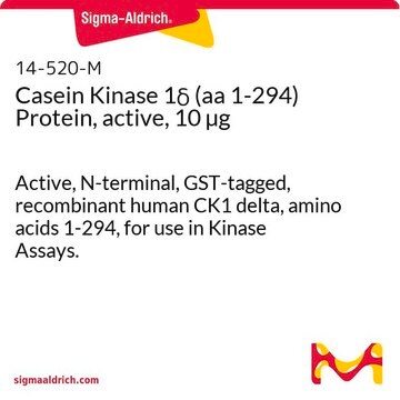 Casein Kinase 1&#948; (aa 1-294) Protein, active, 10 &#181;g Active, N-terminal, GST-tagged, recombinant human CK1 delta, amino acids 1-294, for use in Kinase Assays.