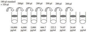 Human FGF-4 ELISA Kit for serum, plasma, cell culture supernatant and urine