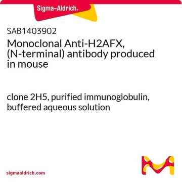 Monoclonal Anti-H2AFX, (N-terminal) antibody produced in mouse clone 2H5, purified immunoglobulin, buffered aqueous solution