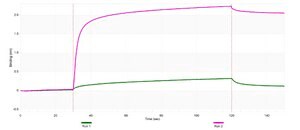 Anti-PLK1 Antibody, clone 1F2 ZooMAb&#174; Rabbit Monoclonal recombinant, expressed in HEK 293 cells