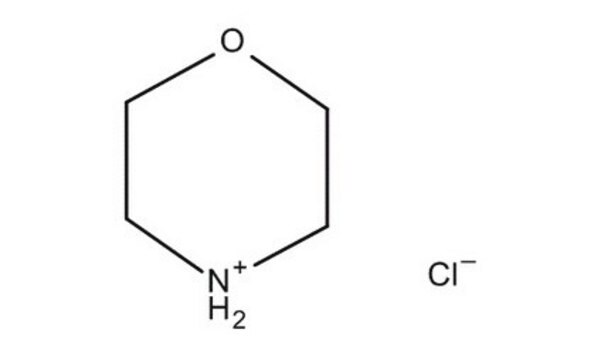 Morpholinium chloride for synthesis