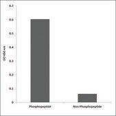 Anti-phospho-NMDAR1 (pSer896) antibody produced in rabbit affinity isolated antibody