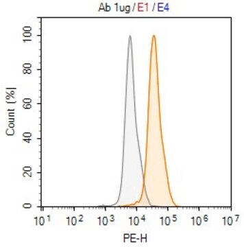 Anti-p57Kip2 Antibody, clone 1H11 ZooMAb&#174; Rabbit Monoclonal recombinant, expressed in HEK 293 cells