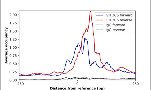 Anti-GTF3C6 antibody produced in rabbit Prestige Antibodies&#174; Powered by Atlas Antibodies, affinity isolated antibody, buffered aqueous glycerol solution