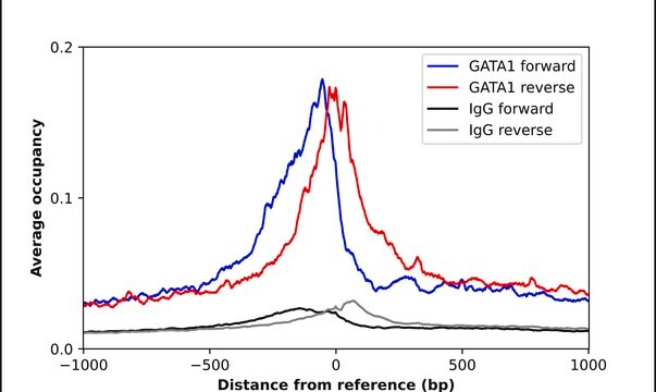 Anti-GATA1 antibody produced in rabbit Prestige Antibodies® Powered by Atlas Antibodies, affinity isolated antibody, buffered aqueous glycerol solution