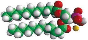 12:0 PA 1,2-dilauroyl-sn-glycero-3-phosphate (sodium salt), powder
