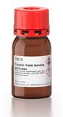 Trypsin from bovine pancreas TPCK Treated, essentially salt-free, lyophilized powder, &#8805;10,000&#160;BAEE units/mg protein