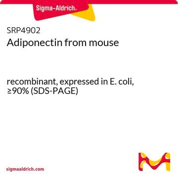 Adiponectin from mouse recombinant, expressed in E. coli, &#8805;90% (SDS-PAGE)