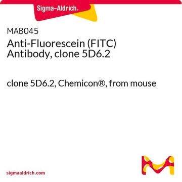 Anti-Fluorescein (FITC) Antibody, clone 5D6.2 clone 5D6.2, Chemicon&#174;, from mouse