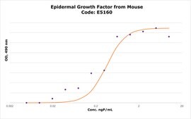 Epidermal Growth Factor from mouse EGF