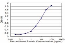 Monoclonal Anti-MYOC antibody produced in mouse clone 2B4, purified immunoglobulin, buffered aqueous solution