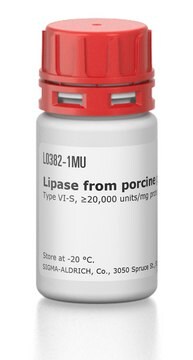 Lipase from porcine pancreas Type VI-S, &#8805;20,000&#160;units/mg protein, lyophilized powder