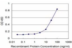 Monoclonal Anti-NFKBIB antibody produced in mouse clone 3E11, purified immunoglobulin, buffered aqueous solution
