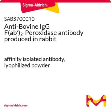 Anti-Bovine IgG F(ab&#8242;)2-Peroxidase antibody produced in rabbit affinity isolated antibody, lyophilized powder