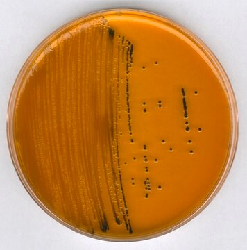 GranuCult&#174; plus Deoxycholate Hydrogen sulfide Lactose Agar acc. SAKAZAKI