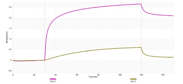 Anti-CYP11A1 Antibody, clone 2M5 ZooMAb&#174; Rabbit Monoclonal recombinant, expressed in HEK 293 cells