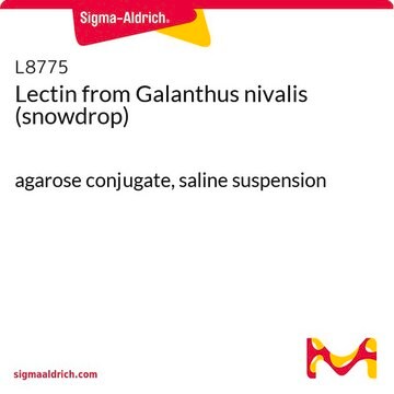 Lectin from Galanthus nivalis (snowdrop) agarose conjugate, saline suspension