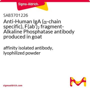 Anti-Human IgA (&#945;-chain specific), F(ab&#8242;)2 fragment-Alkaline Phosphatase antibody produced in goat affinity isolated antibody, lyophilized powder