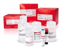 Histone Deacetylase Assay Kit, Fluorometric sufficient for 100&#160;assays (96 well plates)