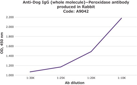 Anti-Dog IgG (whole molecule)&#8722;Peroxidase antibody produced in rabbit IgG fraction of antiserum, buffered aqueous solution