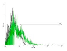 Anti-ADRB3 antibody produced in mouse purified immunoglobulin, buffered aqueous solution