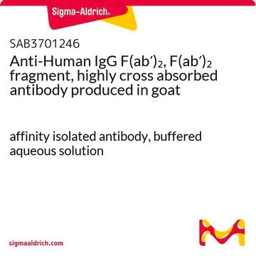 Anti-Human IgG F(ab&#8242;)2, F(ab&#8242;)2 fragment, highly cross absorbed antibody produced in goat affinity isolated antibody, buffered aqueous solution